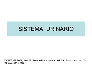 SISTEMA URINÁRIO
VAN DE GRAAFF, Kent M.. Anatomia Humana. 6ª ed. São Paulo: Manole, Cap.
19. pág. 675 a 696.
 
