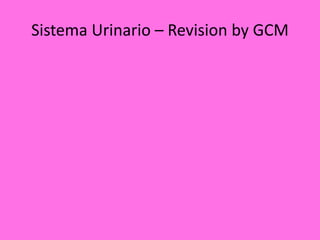 Sistema Urinario – Revision by GCM
 