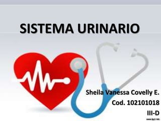 SISTEMA URINARIO Sheila Vanessa Covelly E. Cod. 102101018 III-D 