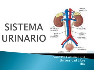SISTEMA URINARIO Vanessa Castilla Cujia Universidad Libre IIID 