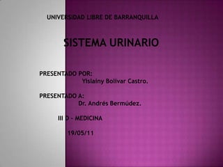         UNIVERSIDAD LIBRE DE BARRANQUILLA SISTEMA URINARIO      PRESENTADO POR:                             Yislainy Bolívar Castro.      PRESENTADO A:                          Dr. Andrés Bermúdez.               III D – MEDICINA                     19/05/11 
