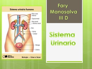 Fary Manosalva III D Sistema  Urinario 