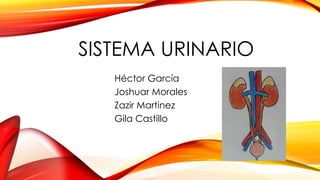 SISTEMA URINARIO 
Héctor García 
Joshuar Morales 
Zazir Martinez 
Gila Castillo 
 