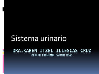 DRA.KAREN ITZEL ILLESCAS CRUZ
MEDICO CIRUJANO FACMED UNAM
Sistema urinario
 