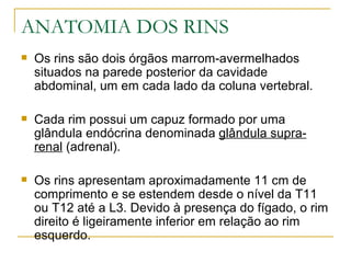 ANATOMIA DOS RINS
   Os rins são dois órgãos marrom-avermelhados
    situados na parede posterior da cavidade
    abdominal, um em cada lado da coluna vertebral.

   Cada rim possui um capuz formado por uma
    glândula endócrina denominada glândula supra-
    renal (adrenal).

   Os rins apresentam aproximadamente 11 cm de
    comprimento e se estendem desde o nível da T11
    ou T12 até a L3. Devido à presença do fígado, o rim
    direito é ligeiramente inferior em relação ao rim
    esquerdo.
 