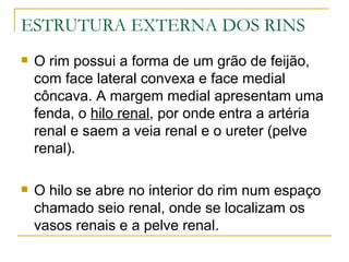 ESTRUTURA EXTERNA DOS RINS
   O rim possui a forma de um grão de feijão,
    com face lateral convexa e face medial
    côncava. A margem medial apresentam uma
    fenda, o hilo renal, por onde entra a artéria
    renal e saem a veia renal e o ureter (pelve
    renal).

   O hilo se abre no interior do rim num espaço
    chamado seio renal, onde se localizam os
    vasos renais e a pelve renal.
 