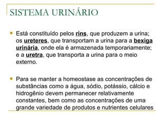SISTEMA URINÁRIO
   Está constituído pelos rins, que produzem a urina;
    os ureteres, que transportam a urina para a bexiga
    urinária, onde ela é armazenada temporariamente;
    e a uretra, que transporta a urina para o meio
    externo.

   Para se manter a homeostase as concentrações de
    substâncias como a água, sódio, potássio, cálcio e
    hidrogênio devem permanecer relativamente
    constantes, bem como as concentrações de uma
    grande variedade de produtos e nutrientes celulares
 