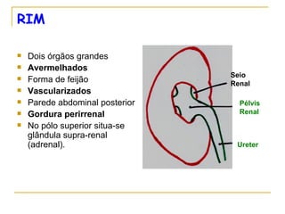 RIM

   Dois órgãos grandes
   Avermelhados
                                 Seio
   Forma de feijão              Renal
   Vascularizados
   Parede abdominal posterior     Pélvis
   Gordura perirrenal             Renal
   No pólo superior situa-se
    glândula supra-renal
    (adrenal).                    Ureter
 