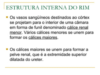 ESTRUTURA INTERNA DO RIM
   Os vasos sangüíneos destinados ao córtex
    se projetam para o interior de uma câmara
    em forma de funil denominado cálice renal
    menor. Vários cálices menores se unem para
    formar os cálices maiores.

   Os cálices maiores se unem para formar a
    pelve renal, que é a extremidade superior
    dilatada do ureter.
 