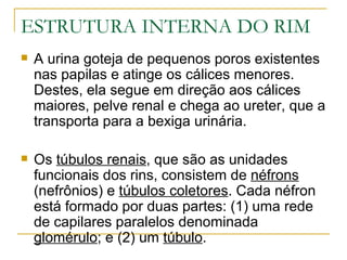 ESTRUTURA INTERNA DO RIM
   A urina goteja de pequenos poros existentes
    nas papilas e atinge os cálices menores.
    Destes, ela segue em direção aos cálices
    maiores, pelve renal e chega ao ureter, que a
    transporta para a bexiga urinária.

   Os túbulos renais, que são as unidades
    funcionais dos rins, consistem de néfrons
    (nefrônios) e túbulos coletores. Cada néfron
    está formado por duas partes: (1) uma rede
    de capilares paralelos denominada
    glomérulo; e (2) um túbulo.
 