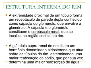 ESTRUTURA INTERNA DO RIM
   A extremidade proximal de um túbulo forma
    um receptáculo de parede dupla conhecido
    como cápsula do glomérulo, que envolve o
    glomérulo. A cápsula e o glomérulo
    constituem o corpúsculo renal, que se
    localiza na região cortical do rim.

   A glândula supra-renal do rim libera um
    hormônio denominado aldosterona que atua
    sobre os túbulos do rim, determinando uma
    maior reabsorção de sódio, que por sua vez
    determina uma maior reabsorção de água.
 