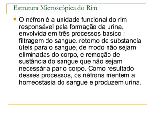 Estrutura Microscópica do Rim
   O néfron é a unidade funcional do rim
    responsável pela formação da urina,
    envolvida em três processos básico :
    filtragem do sangue, retorno de substancia
    úteis para o sangue, de modo não sejam
    eliminadas do corpo, e remoção de
    sustância do sangue que não sejam
    necessária par o corpo. Como resultado
    desses processos, os néfrons mentem a
    homeostasia do sangue e produzem urina.
 