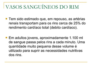 VASOS SANGUÍNEOS DO RIM

   Tem sido estimado que, em repouso, as artérias
    renais transportam para os rins cerca de 25% do
    rendimento cardíaco total (debito cardíaco).

   Em adultos jovens, aproximadamente 1.100 ml
    de sangue passa pelos rins a cada minuto. Uma
    quantidade muito pequena desse volume é
    utilizado para suprir as necessidades nutritivas
    dos rins.
 