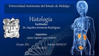 Universidad Autónoma del Estado de Hidalgo
Histología
Facilitador:
Dr. Aquiles Armenta Rodríguez
Expositor:
López Ugalde Juan Andrés
Grupo: 201 Fecha: 30/05/17
Año:2017
 