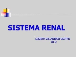 SISTEMA RENAL LIZZETH VILLADIEGO CASTRO    III D 