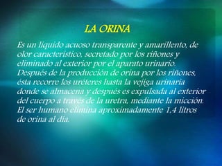 Es un líquido acuoso transparente y amarillento, de
olor característico, secretado por los riñones y
eliminado al exterior por el aparato urinario.
Después de la producción de orina por los riñones,
ésta recorre los uréteres hasta la vejiga urinaria
donde se almacena y después es expulsada al exterior
del cuerpo a través de la uretra, mediante la micción.
El ser humano elimina aproximadamente 1,4 litros
de orina al día.
LA ORINA
 