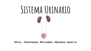 Sistema Urinario
Mtra. Constanza Mercedes Sánchez Guerra
 
