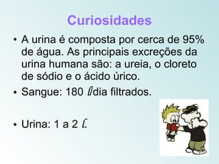 Curiosidades
• A urina é composta por cerca de 95%
  de água. As principais excreções da
  urina humana são: a ureia, o cloreto
  de sódio e o ácido úrico.
• Sangue: 180 l/dia filtrados.

• Urina: 1 a 2 l.
 