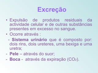 Excreção
• Expulsão de produtos residuais da
  actividade celular e de outras substâncias
  presentes em excesso no sangue.
• Ocorre através :
 - Sistema urinário que é composto por:
  dois rins, dois ureteres, uma bexiga e uma
  uretra;
- Pele – através do suor;
- Boca - através da expiração (CO2).
 