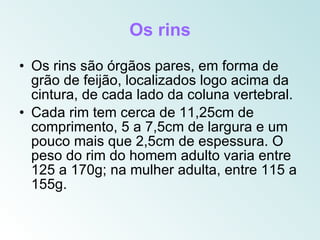 Os rins
• Os rins são órgãos pares, em forma de
  grão de feijão, localizados logo acima da
  cintura, de cada lado da coluna vertebral.
• Cada rim tem cerca de 11,25cm de
  comprimento, 5 a 7,5cm de largura e um
  pouco mais que 2,5cm de espessura. O
  peso do rim do homem adulto varia entre
  125 a 170g; na mulher adulta, entre 115 a
  155g.
 