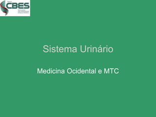 Sistema Urinário Medicina Ocidental e MTC 