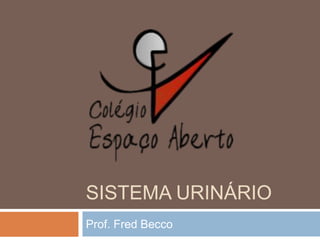 Sistema urinário,[object Object],Prof. Fred Becco,[object Object]