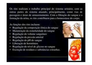 Os rins realizam o trabalho principal do sistema urinário, com as
outras partes do sistema atuando, principalmente, como vias de
passagem e áreas de armazenamento. Com a filtração do sangue e a
formação da urina, os rins contribuem para a homeostase do corpo.
As funções dos rins incluem:
• Regulação da composição iônica do sangue
• Manutenção da osmolaridade do sangue
• Regulação do volume sanguíneo
• Regulação da pressão arterial
• Regulação do pH do sangue
• Liberação de hormônios
• Regulação do nível de glicose no sangue
• Excreção de resíduos e substâncias estranhas.
 