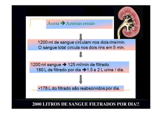Vias Urinárias:
Ureteres: dois tubos de aproximadamente 20 cm de comprimento
cada, que conduz a urina dos rins para a bexiga.
 
