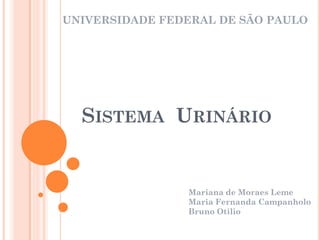 UNIVERSIDADE FEDERAL DE SÃO PAULO




  SISTEMA URINÁRIO


                Mariana de Moraes Leme
                Maria Fernanda Campanholo
                Bruno Otilio
 