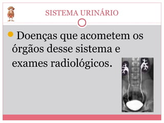 SISTEMA URINÁRIO

Doenças que acometem os
órgãos desse sistema e
exames radiológicos.
 