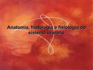 Anatomia, histologia e fisiologia doAnatomia, histologia e fisiologia do
sistema urináriosistema urinário
 