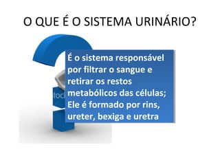 O QUE É O SISTEMA URINÁRIO?
É o sistema responsável
É o sistema responsável
por filtrar o sangue e
por filtrar o sangue e
retirar os restos
retirar os restos
metabólicos das células;
metabólicos das células;
Ele é formado por rins,
Ele é formado por rins,
ureter, bexiga e uretra
ureter, bexiga e uretra

 