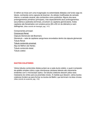 O néfron se inicia com uma invaginação na extremidade dilatada e de fundo cego do
túbulo, conhecida como capsula de bowman. As células modificadas da camada
interna, a camada visceral, são conhecidos como podócitos. Alguns dos seus
prolongamentos primários (principais), mas especialmente seus prolongamentos
secundários e pedicelos terminais, envolvem os capilares glomerulares. Estes
capilares são fenestrados com amplos poros (60 a 90 nm de diâmetro) e sem
diafragmas. (Atlas colorido de histologia; pag.: 317)
Componentes principal:
Corpúsculo Renal:
Cápsula Glomerular (de Bowman);
Glomérulo – rede de capilares sanguíneos enovelados dentro da cápsula glomerular
Túbulo Renal:
Túbulo contorcido proximal;
Alça do Néfron (de Henle);
Túbulo contorcido distal;
Túbulo coletor.

DUCTOS COLETORES
Vários túbulos contorcidos distais juntam-se a cada ducto coletor, o qual é composto
de epitélio simples cúbico cujas membranas celulares laterais são claramente
evidentes com o microscópio óptico. Os túbulos coletores descem pelos raios
medulares do córtex para as piramides renais. À medida que descem, vários ductos
coletores fundem-se para formar os ductos de Bellini, que terminam na área crivosa.
(Atlas colorido de anatomia; pág.: 316)

 