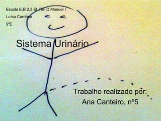 Sistema Urinário
Trabalho realizado por:
Ana Canteiro, nº5
Escola E.B 2,3 El Rei D.Manuel I
Luísa Cardoso
9ºE
 
