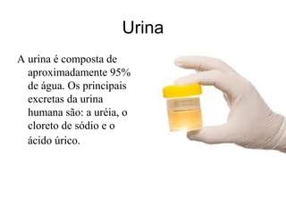 Urina
A urina é composta de
aproximadamente 95%
de água. Os principais
excretas da urina
humana são: a uréia, o
cloreto de sódio e o
ácido úrico.
 