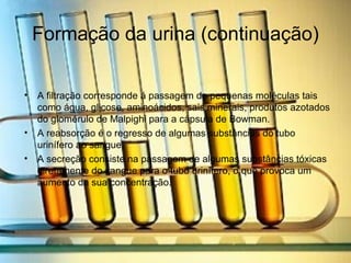 Formação da urina (continuação)
• A filtração corresponde á passagem de pequenas moléculas tais
como água, glicose, aminoácidos, sais minerais, produtos azotados
do glomérulo de Malpighi para a cápsula de Bowman.
• A reabsorção é o regresso de algumas substâncias do tubo
urinífero ao sangue.
• A secreção consiste na passagem de algumas substâncias tóxicas
diretamente do sangue para o tubo urinífero, o que provoca um
aumento da sua concentração.
 