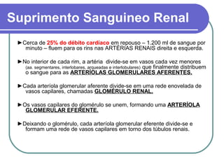 Suprimento Sanguineo Renal
►Cerca de 25% do débito cardíaco em repouso – 1.200 ml de sangue por
minuto – fluem para os rins nas ARTÉRIAS RENAIS direita e esquerda.
►No interior de cada rim, a artéria divide-se em vasos cada vez menores
(aa. segmentares, interlobares, arqueadas e interlobulares) que finalmente distribuem
o sangue para as ARTERÍOLAS GLOMERULARES AFERENTES.
►Cada arteríola glomerular aferente divide-se em uma rede enovelada de
vasos capilares, chamadas GLOMÉRULO RENAL.
►Os vasos capilares do glomérulo se unem, formando uma ARTERÍOLA
GLOMERULAR EFERENTE.
►Deixando o glomérulo, cada arteríola glomerular eferente divide-se e
formam uma rede de vasos capilares em torno dos túbulos renais.
 