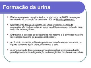 Formação da urina
 Diariamente passa nos glomérulos renais cerca de 2000L de sangue,
resultando na produção de cerca de 160L de filtrado glomerular.
 Normalmente, todas as substâncias úteis presentes no filtrado
glomerular são reabsorvidas ao longo dos túbulos renais, voltando para
a circulacao sanguinea .
 Entretanto, o excesso de substâncias não retorna e é eliminado na urina
(ex.: glicose na urina de pessoas diabéticas).
 Ao final do processo, o filtrado glomerular transformou-se em urina, um
líquido contendo água, ureia, ácido úrico e sais.
 A cor amarelada deve-se a presença de urobilina, excreta produzida
pelo fígado durante a degradação da hemoglobina das hemácias velhas.
 