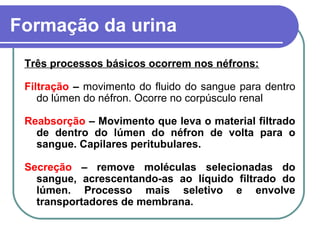 Formação da urina
Três processos básicos ocorrem nos néfrons:
Filtração – movimento do fluido do sangue para dentro
do lúmen do néfron. Ocorre no corpúsculo renal
Reabsorção – Movimento que leva o material filtrado
de dentro do lúmen do néfron de volta para o
sangue. Capilares peritubulares.
Secreção – remove moléculas selecionadas do
sangue, acrescentando-as ao líquido filtrado do
lúmen. Processo mais seletivo e envolve
transportadores de membrana.
 