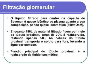 Filtração glomerular
• O líquido filtrado para dentro da cápsula de
Bowman é quase idêntico ao plasma quanto a sua
composição, sendo quase isosmótico (300mOsM).
• Enquanto 180L de material filtrado fluem por meio
do túbulo proximal, cerca de 70% é reabsorvido,
restando apenas 54L. As células do túbulo
proximal transporta o soluto para fora, levando a
água por osmose.
• Função principal do túbulo proximal é a
reabsorção de fluido isosmótico.
 