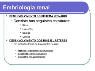 Embriologia renal
 DESENVOLVIMENTO DO SISTEMA URINÁRIO
Consiste nas seguintes estruturas:
 Rins
 Ureteres
 Bexiga
 Uretra
 DESENVOLVIMENTO DOS RINS E URETERES
 Em embriões forma-se 3 conjuntos de rins:
 Pronefro- rudimentar e nao funcional
 Mesonefro- bem desenvolvido
 Metanefro- rins permanentes
 