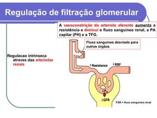 Regulação de filtração glomerular
Regulacao intrinseca
atraves das arteríolas
renais
A vasoconstrição da arteríola aferente aumenta a
resistência e diminui o fluxo sanguíneo renal, a PA
capilar (PH) e a TFG.
Fluxo sanguíneo desviado para
outros órgãos
FSR = fluxo sanguíneo renal
 