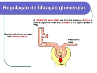 Regulação de filtração glomerular
A resistência aumentada na arteríola eferente diminui o
fluxo sanguíneo renal mas aumenta a PA capilar (PH) e a
TFG.
Regulacao intrinseca atraves
das arteríolas renais
 