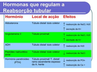 Hormonas que regulam a
Reabsorção tubular
Hormónio Local de acção Efeitos
Aldosterona Túbulo distal/ duto coletor ↑ reabsorção de NaCl, H20
↑ secreção de K+
Angiotensina II Túbulo proximal
↑ reabsorção de NaCl, H20
↑ secreção de K+
ADH Túbulo distal/ duto coletor
↑ reabsorção de H20
Peptídeo natriurético
atrial
Túbulo distal/ duto coletor
↓ reabsorção de NaCl
Hormónio paratiroideo
(PTH)
Túbulo proximal/ T. distal/
ramo ascendente espesso
da A. henle
↓ reabsorção de PO4-
↑ reabsorção de Ca +
 