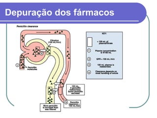 Depuração dos fármacos
 