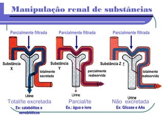 Manipulação renal de substâncias
Parcialmente filtrada
Não excretada
Ex: Glicose e AAs
totalmente
reabsorvida
Parcialmente filtrada
Parcial/te
excretadaEx.: água e íons
parcialmente
reabsorvida
Substância Z
Total/te excretada
Ex: catabólitos e
xenobióticos
Parcialmente filtrada
Substância
X
Substância
Y
totalmente
secretada
 