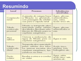 Resumindo
 