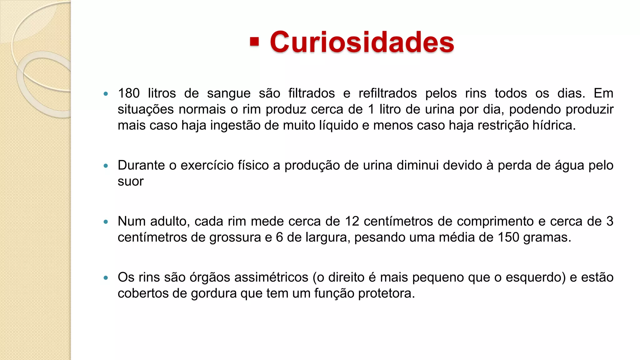  Curiosidades
180 litros de sangue são filtrados e refiltrados pelos rins todos os dias. Em
situações normais o rim produz cerca de 1 litro de urina por dia, podendo produzir
mais caso haja ingestão de muito líquido e menos caso haja restrição hídrica.
Durante o exercício físico a produção de urina diminui devido à perda de água pelo
suor
Num adulto, cada rim mede cerca de 12 centímetros de comprimento e cerca de 3
centímetros de grossura e 6 de largura, pesando uma média de 150 gramas.
Os rins são órgãos assimétricos (o direito é mais pequeno que o esquerdo) e estão
cobertos de gordura que tem um função protetora.