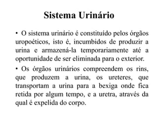 Sistema Urinário
• O sistema urinário é constituído pelos órgãos
uropoéticos, isto é, incumbidos de produzir a
urina e armazená-la temporariamente até a
oportunidade de ser eliminada para o exterior.
• Os órgãos urinários compreendem os rins,
que produzem a urina, os ureteres, que
transportam a urina para a bexiga onde fica
retida por algum tempo, e a uretra, através da
qual é expelida do corpo.
 