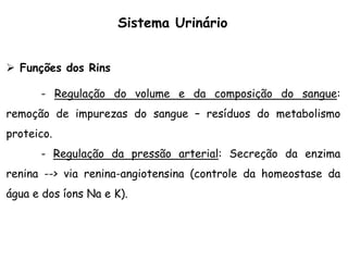  Funções dos Rins
- Regulação do volume e da composição do sangue:
remoção de impurezas do sangue – resíduos do metabolismo
proteico.
- Regulação da pressão arterial: Secreção da enzima
renina --> via renina-angiotensina (controle da homeostase da
água e dos íons Na e K).
Sistema Urinário
 